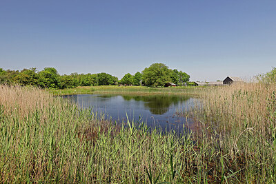 BUITEN BEELD Foto: 451198