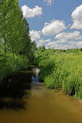 BUITEN BEELD Foto: 451202