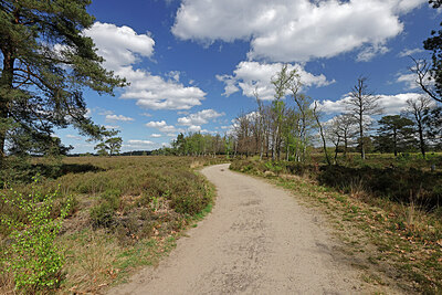BUITEN BEELD Foto: 451204