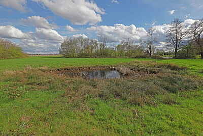 BUITEN BEELD Foto: 451206