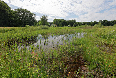 BUITEN BEELD Foto: 451216