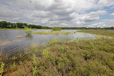BUITEN BEELD Foto: 451218