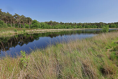 BUITEN BEELD Foto: 451220