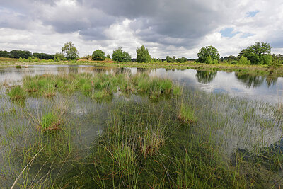 BUITEN BEELD Foto: 451222