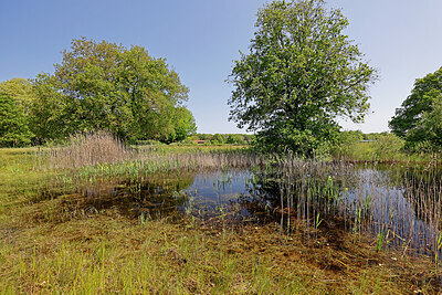 BUITEN BEELD Foto: 451226