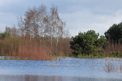 BUITEN BEELD Foto: 451229