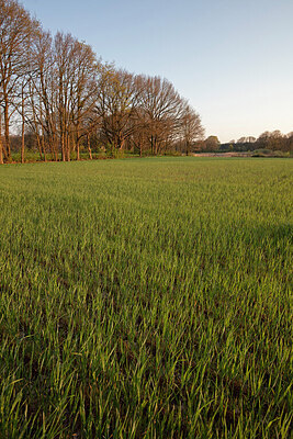 BUITEN BEELD Foto: 451230