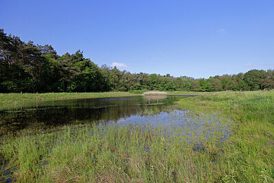 BUITEN BEELD Foto: 451233