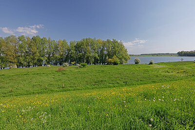 BUITEN BEELD Foto: 451234