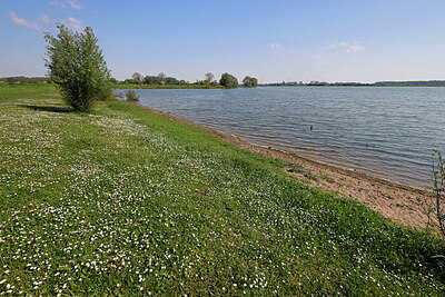 BUITEN BEELD Foto: 451235