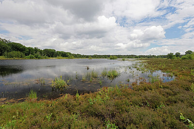 BUITEN BEELD Foto: 451238