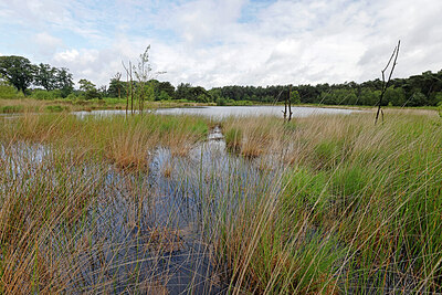 BUITEN BEELD Foto: 451240