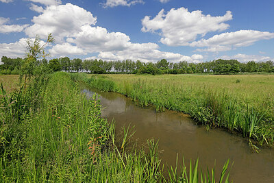 BUITEN BEELD Foto: 451242