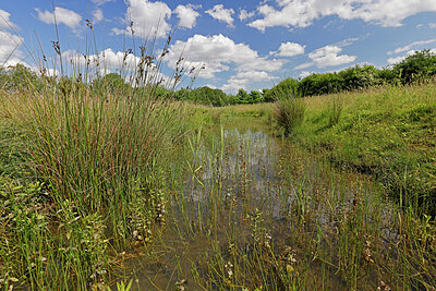 BUITEN BEELD Foto: 451243