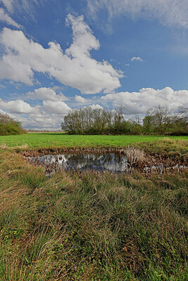 BUITEN BEELD Foto: 451245