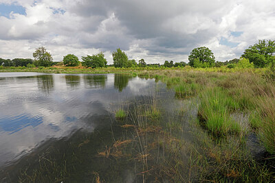 BUITEN BEELD Foto: 451247