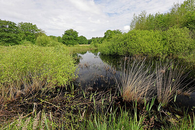 BUITEN BEELD Foto: 451252