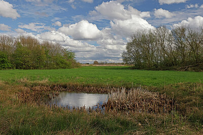 BUITEN BEELD Foto: 451260