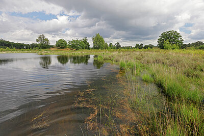 BUITEN BEELD Foto: 451261
