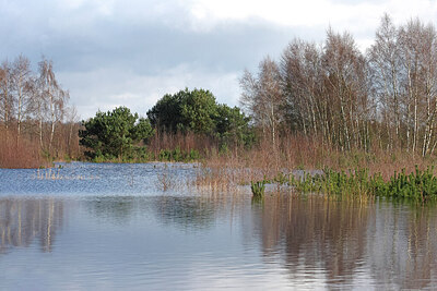 BUITEN BEELD Foto: 451263