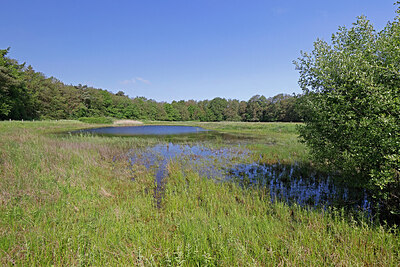 BUITEN BEELD Foto: 451264