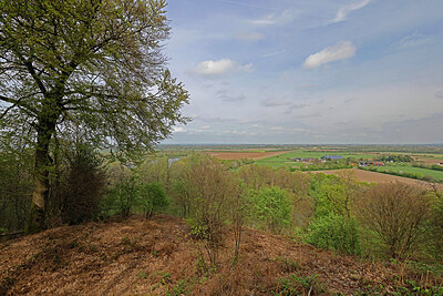 BUITEN BEELD Foto: 451265