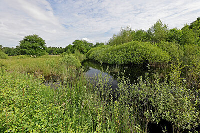 BUITEN BEELD Foto: 451268