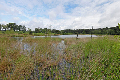 BUITEN BEELD Foto: 451270