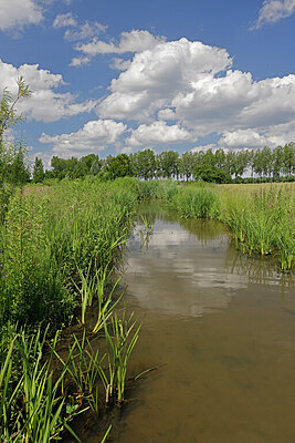 BUITEN BEELD Foto: 451271