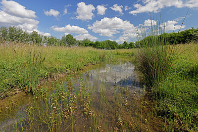 BUITEN BEELD Foto: 451273