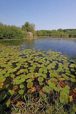 BUITEN BEELD Foto: 451274