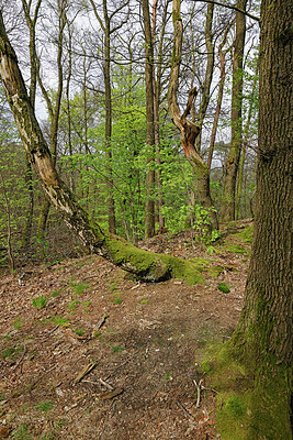 BUITEN BEELD Foto: 451275