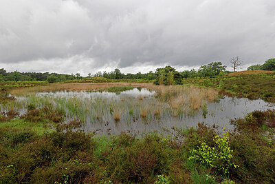 BUITEN BEELD Foto: 451276