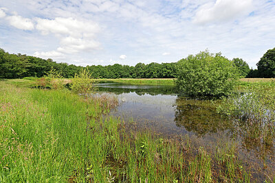 BUITEN BEELD Foto: 451277