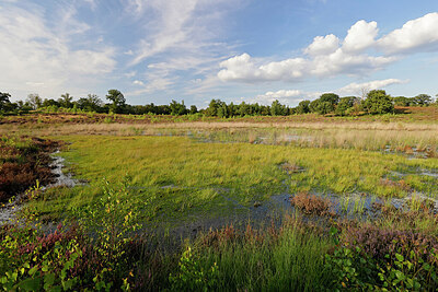 BUITEN BEELD Foto: 451279