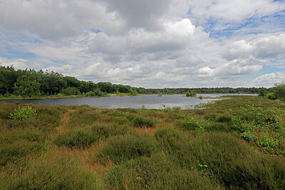 BUITEN BEELD Foto: 451280