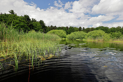 BUITEN BEELD Foto: 451282