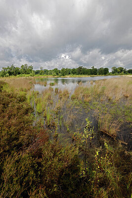 BUITEN BEELD Foto: 451284