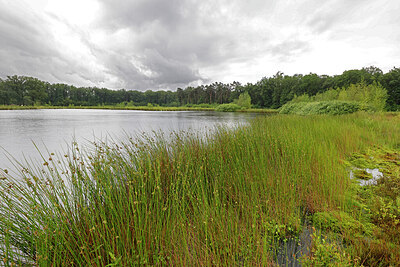 BUITEN BEELD Foto: 451285