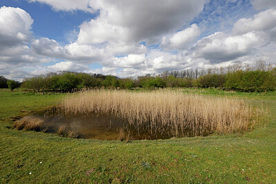 BUITEN BEELD Foto: 451287