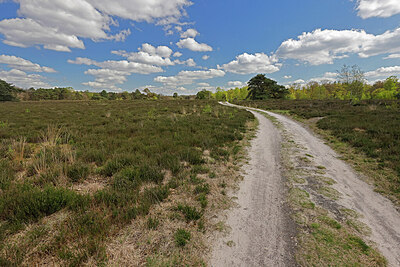 BUITEN BEELD Foto: 451288