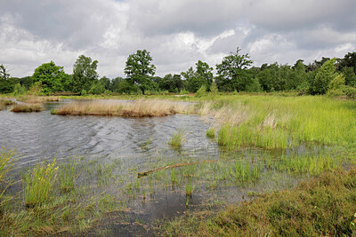 BUITEN BEELD Foto: 451289