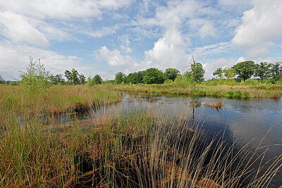 BUITEN BEELD Foto: 451293