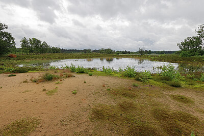 BUITEN BEELD Foto: 451299