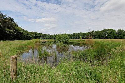 BUITEN BEELD Foto: 451301
