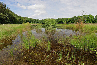 BUITEN BEELD Foto: 451302
