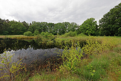 BUITEN BEELD Foto: 451304