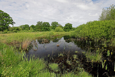 BUITEN BEELD Foto: 451306