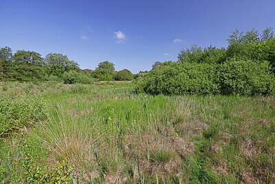 BUITEN BEELD Foto: 451307