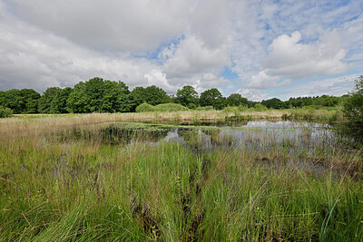 BUITEN BEELD Foto: 451308